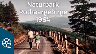 Eröffnung des Naturparks Rothaargebirge 1964 | FILMSCHÄTZE