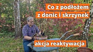 Co z ziemią z donic i skrzynek balkonowych? Czy można wykorzystać raz jeszcze?