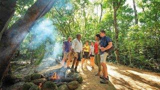 Aboriginal Cultural and Daintree Rainforest Tour from Cairns, Australia