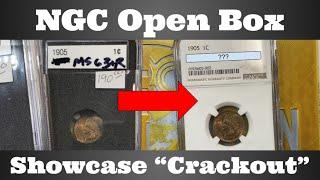 NGC Open Box - Showcase "Crackout" - Indian Head Cents - How Did Our Grades Compare?