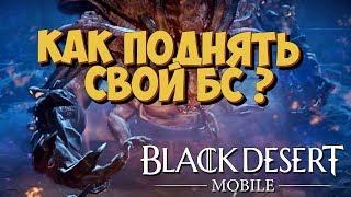 Black Desert Mobile  Где брать БС? Как поднять БС?  Гайд новичкам