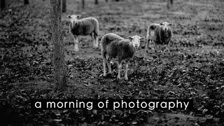 A morning of photography ~ POV