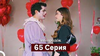 Зимородок 65 Cерия (Русский дубляж)