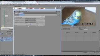 Как вставить секундомер в программе Sony Vegas Pro 12.0. Izuchenie program.