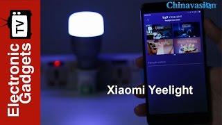 Magical Xiaomi Yeelight Smart LED Bulb Review!