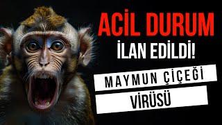 ACİL DURUM İLAN EDİLDİ! MAYMUN ÇİÇEĞİ VİRÜSÜ NEDİR? NASIL BULAŞIR?