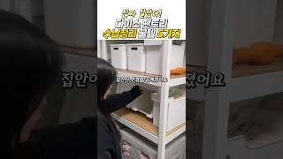 진짜 잘샀다! 다이소 팬트리 수납정리 꿀템 5가지 #다이소 #펜트리 #꿀템추천