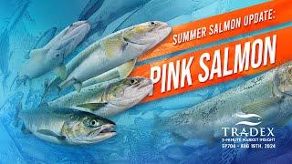 3MMI - 2024 Summer Salmon Update: PINK SALMON