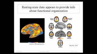 fMRI Course 2016: Resting State fMRI by Catie Chang