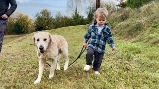 Adorable Baby Boy Walks His Golden Retriever Puppy! (Cutest Ever!!)