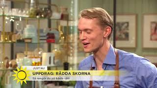 Så får dina slitna skor nytt liv – med bara några minuters jobb - Nyhetsmorgon (TV4)