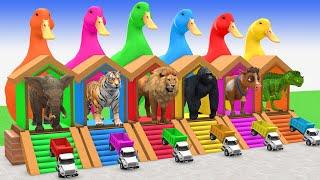 5 Giant Duck Cartoon, Gorilla, Mammoth, Dog, Tiger, Paint Wild Animals Crossing Fountain Animation