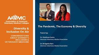 Diversity and Inclusion on Air: The Pandemic, The Economy & Diversity