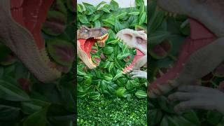 Jurassic World T Rex Vs Indominus Rex Battle #dinosaurs