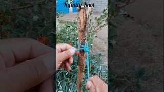 Tie It Like a Pro: The Unbreakable Knot Tutorial#knotting #camping #lifehacks #diy #shorts