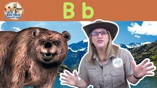 Zoo Crew Alphabet Show  |  Bears and Letter B