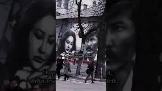 суйуу арманы