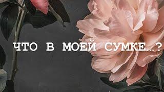 Что в моей сумке