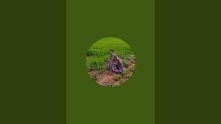KRANTHI SAJJANS is live!