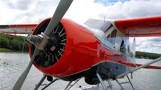 Pilot's Dream! DHC-2 Beaver: Left Seat Checkout - Why I went to Alaska!