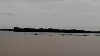 Flood in Dibrugarh, Assam 2019