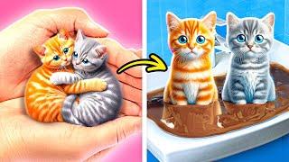 Save a Homeless Kitten, or Two! ‍⬛ Extreme Makeover for Two Cute Kittens 