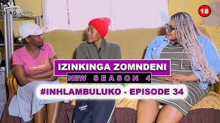 Zathatha ubuntombi bami izilwane zikababa | IZINKINGA ZOMNDENI | INHLAMBULUKO