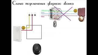 Мало кто знает как правильно подключить дверной звонок