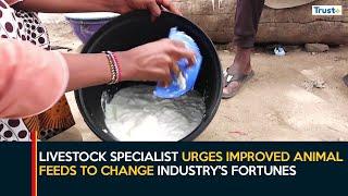 Milk Production: Livestock Specialist Urges Improved Animal Feeds To Change Industry's Fortunes