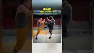 shaolin self defense Combo | Devastating Fight Technique!  #tarek_vandam #mma