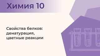 Свойства белков: денатурация, цветные реакции | Лабораторный опыт № 8