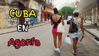 CUBA En Agonía: Derrumbes, Desigualdad y Hambre 