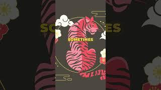 Best Fighters in Chinese Astrology