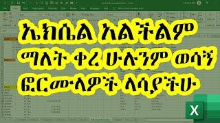 ኤክሴል አልችልም ማለት ቀረ ሁሉንም ወሳኝ ፎርሙላዎች ላሳያችሁ | Excel Formulas and Functions | Full Tutorial