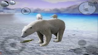 Ultimate Polar Bear Simulator 2 VS Walrus, Seal, Bison, Fox,Reindeer, By Gluten Free Games