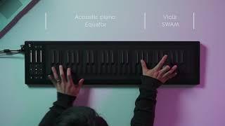 Seaboard RISE x SWAM & Camelot Pro