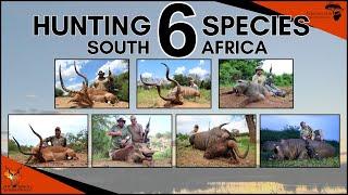 Hunting hippo & plains game in South Africa - 6 species with RW Safaris International #huntingvideo