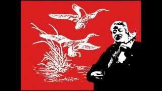 F. Guccini "Le cinque anatre"