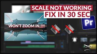 Scale KEYFRAMES NOT WORKING Premiere Pro (FIX)