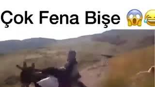 Мусафеди гизала 2018 г.