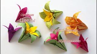 Оригами цветы Ирисы | Как сделать Цветы из бумаги | Origami Flowers