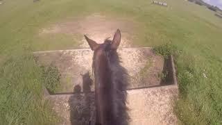 JUMP WITH ME! - XC schooling at Field Farm (GoPro HeadCam)