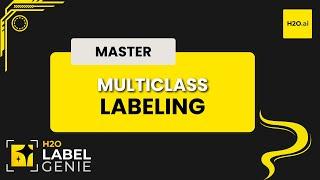 Multiclass labeling | H2O Label Genie Starter Track - Part 5