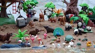 Giant Playmobil Wildlife Building Sets and Jungle Safari Animals Toys Collection in the Sandbox