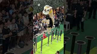 Singapore Jin Heng Dragon & Lion Dance Centre首届利达广场新马南狮高桩锦标赛The Seletar Mall 7Jun 2025
