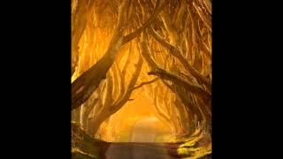 Mohamed Aly - Never Let Me Go