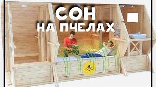 Сон на пчелах (домик на ульях)