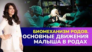 БИОМЕХАНИЗМ РОДОВ. Основные движения малыша в родах. Что чувствует ребенок, пока рождается?