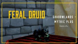 WoW - Feral Druid Build PVE - Season 3 & 4 -  Shadowlands 9.2.5