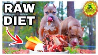 Starting Your Dog On Raw